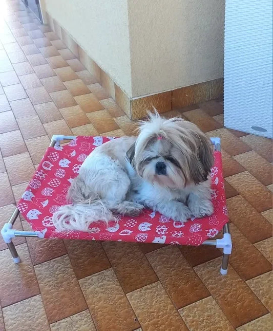 Letto rialzato per animali domestici per cani Letto per gatti Letto pieghevole per animali domestici da campeggio Cuccia per gatti Portatile Rimovibile Quattro stagioni Letto per cani e gatti Accessori per gatti - ITALYSALDI.IT