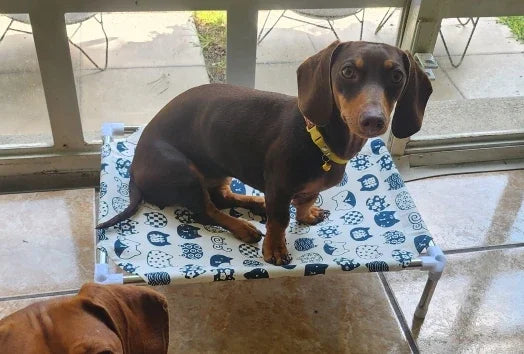 Letto rialzato per animali domestici per cani Letto per gatti Letto pieghevole per animali domestici da campeggio Cuccia per gatti Portatile Rimovibile Quattro stagioni Letto per cani e gatti Accessori per gatti - ITALYSALDI.IT